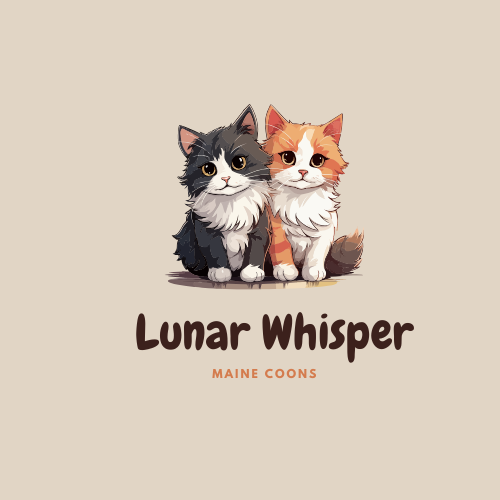 Lunar Whisper Maine Coons